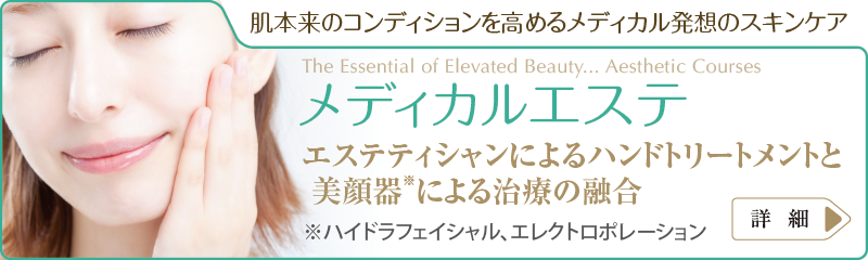 メディカルエステ・エステティック エステ・メニュー
