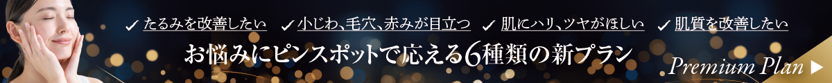 たるみを改善したい・小じわ、毛穴、赤みが目立つ・肌にハリ、ツヤがほしい・肌質を改善したい・・・お悩みにピンスポットで応える6種類の新プランPremium Plan