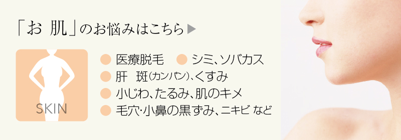 お肌のお悩み:小鼻の黒ずみ・毛穴・肌のキメ・肝斑(カンパン)・くすみ・シミ・ソバカス・小じわ・脱毛 など