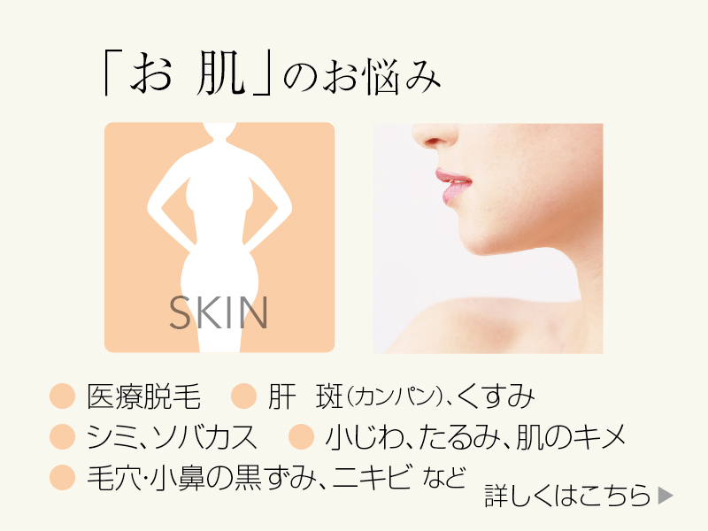 お肌のお悩み:小鼻の黒ずみ・毛穴・肌のキメ・肝斑(カンパン)・くすみ・シミ・ソバカス・小じわ・脱毛 など